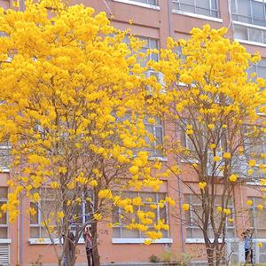 fuli.su黑料不打烊虾玩网
